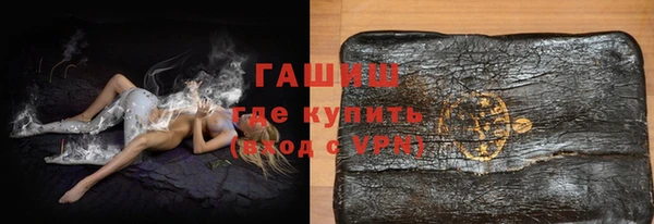 индика Пестово