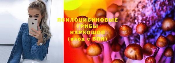 прущие крисы Переславль-Залесский