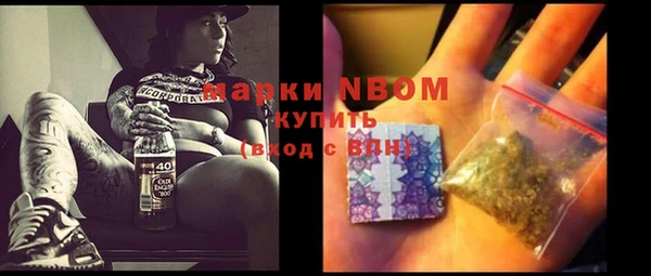 индика Пестово