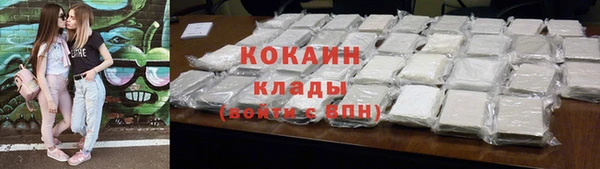 индика Пестово