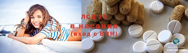 индика Пестово