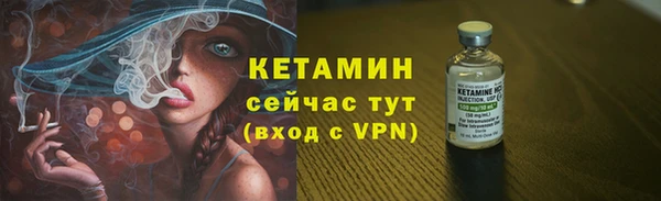 индика Пестово