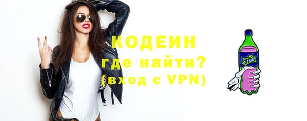 индика Пестово