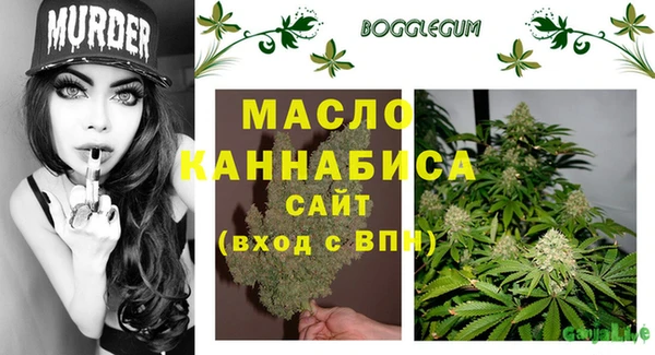 индика Пестово