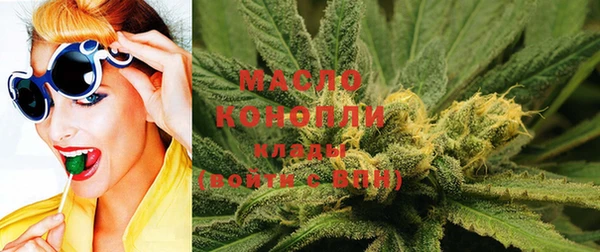 индика Пестово