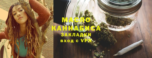 индика Пестово