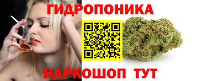 шишки Ипатово