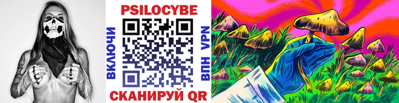 это Telegram  Кузнецк  Псилоцибиновые грибы мухоморы 