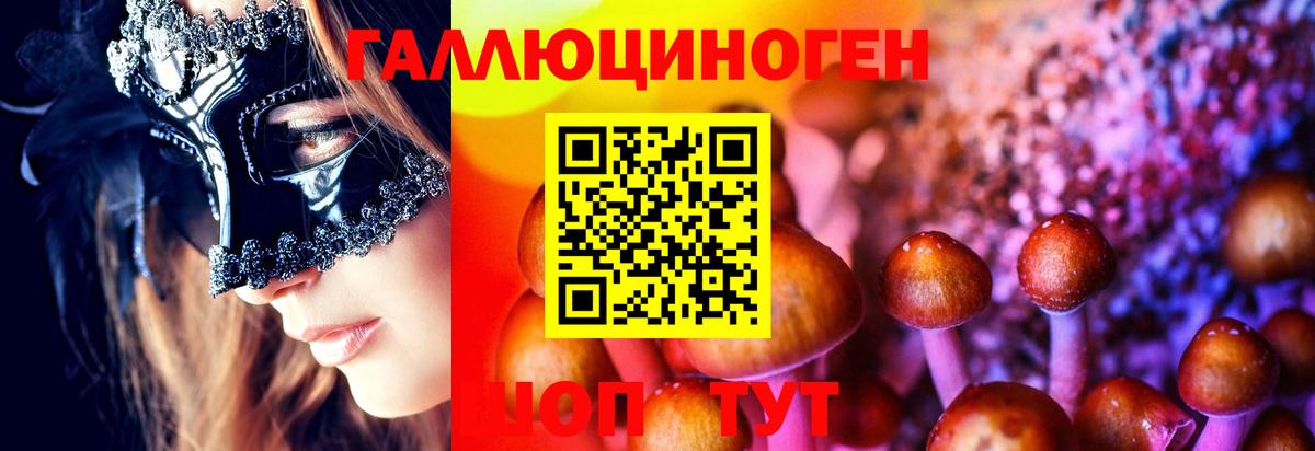Кузнецк  Псилоцибиновые грибы GOLDEN TEACHER  Вход с VPN  сколько стоит  Галлюциногенные грибы мухоморы 